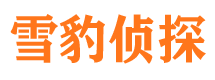 剑阁侦探公司